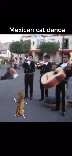 Dancing Cat Meme