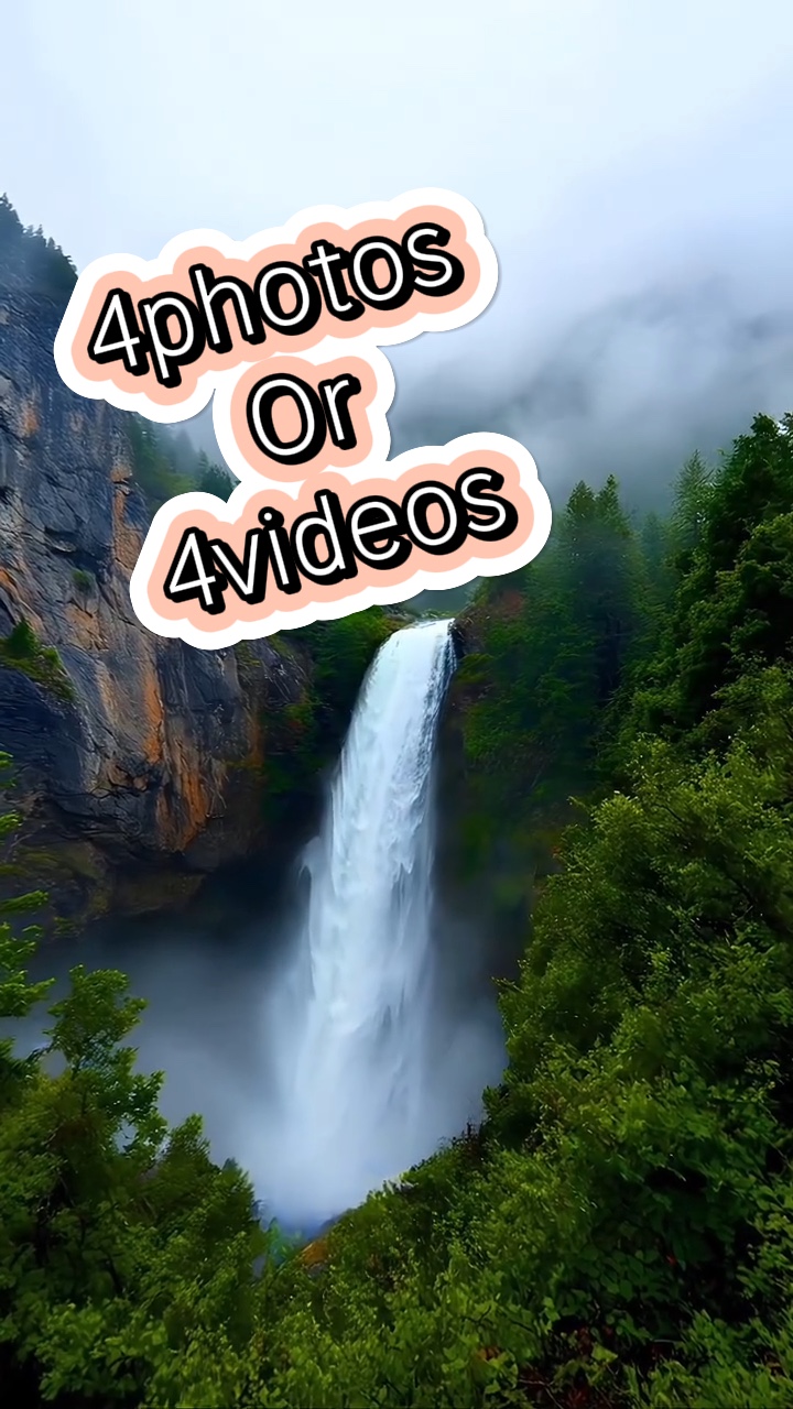 4 fotos / 4 videos