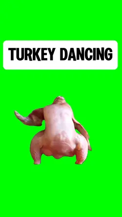 TURKEY DANCIN