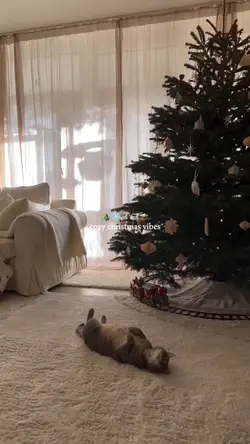 christmas vibes