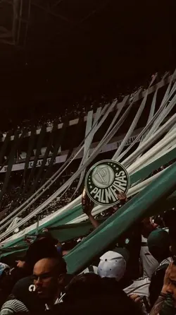 meu Palmeiras!