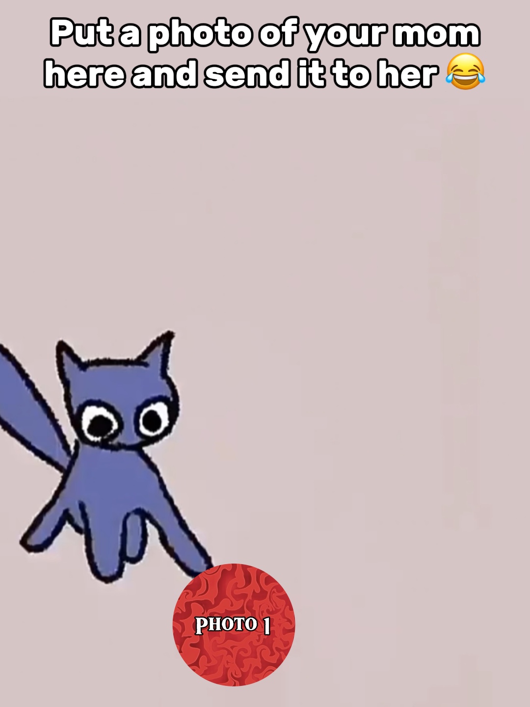Cat Snack 