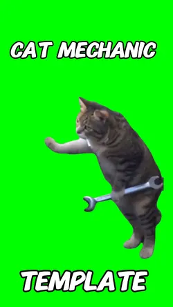 Cat mechanic meme 