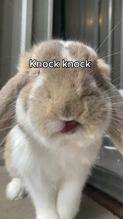 Daisy me rollin’😎