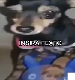 fundoooo