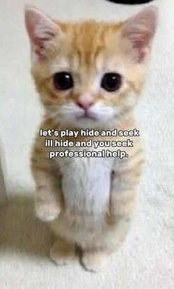 hide and seek!