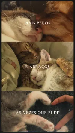 tirar + fotos^^