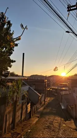 meu amado é