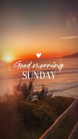 MORNING, SUNDAY