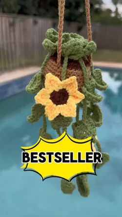 Sunflower Plant