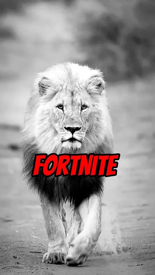Motivational Speech 
