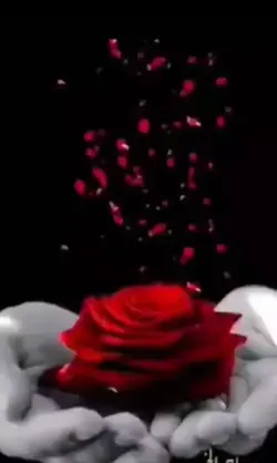 TU ME MIRAS