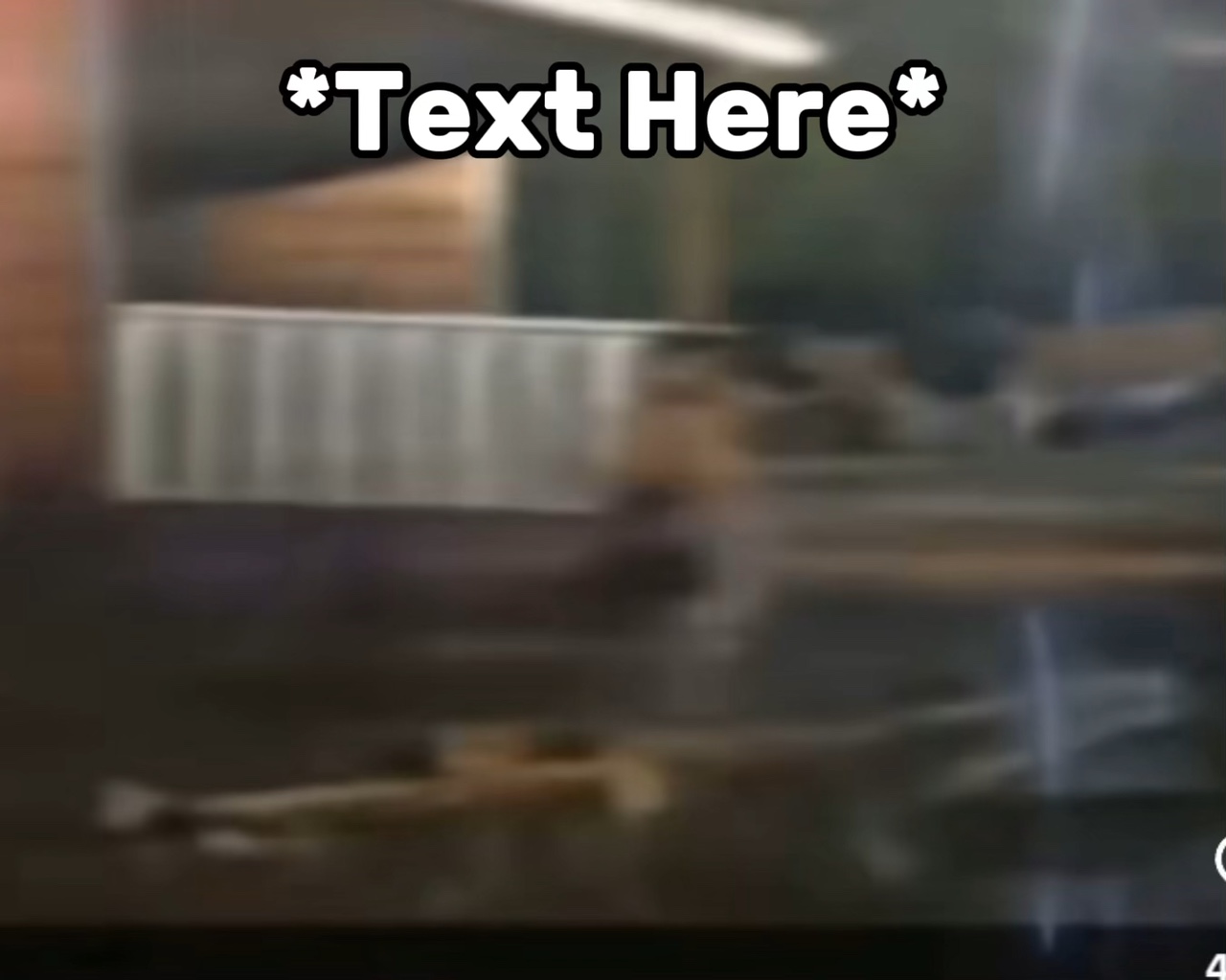 Wolf dance meme 
