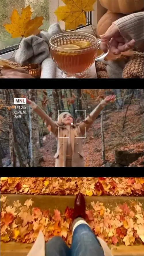 Vibraciones de otoño 