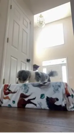 she was so confused😭