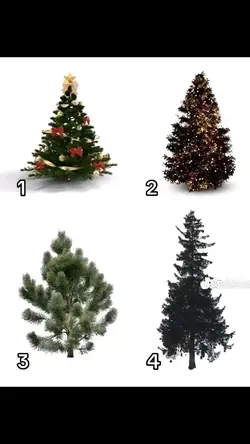 árvore de Natal.🤍