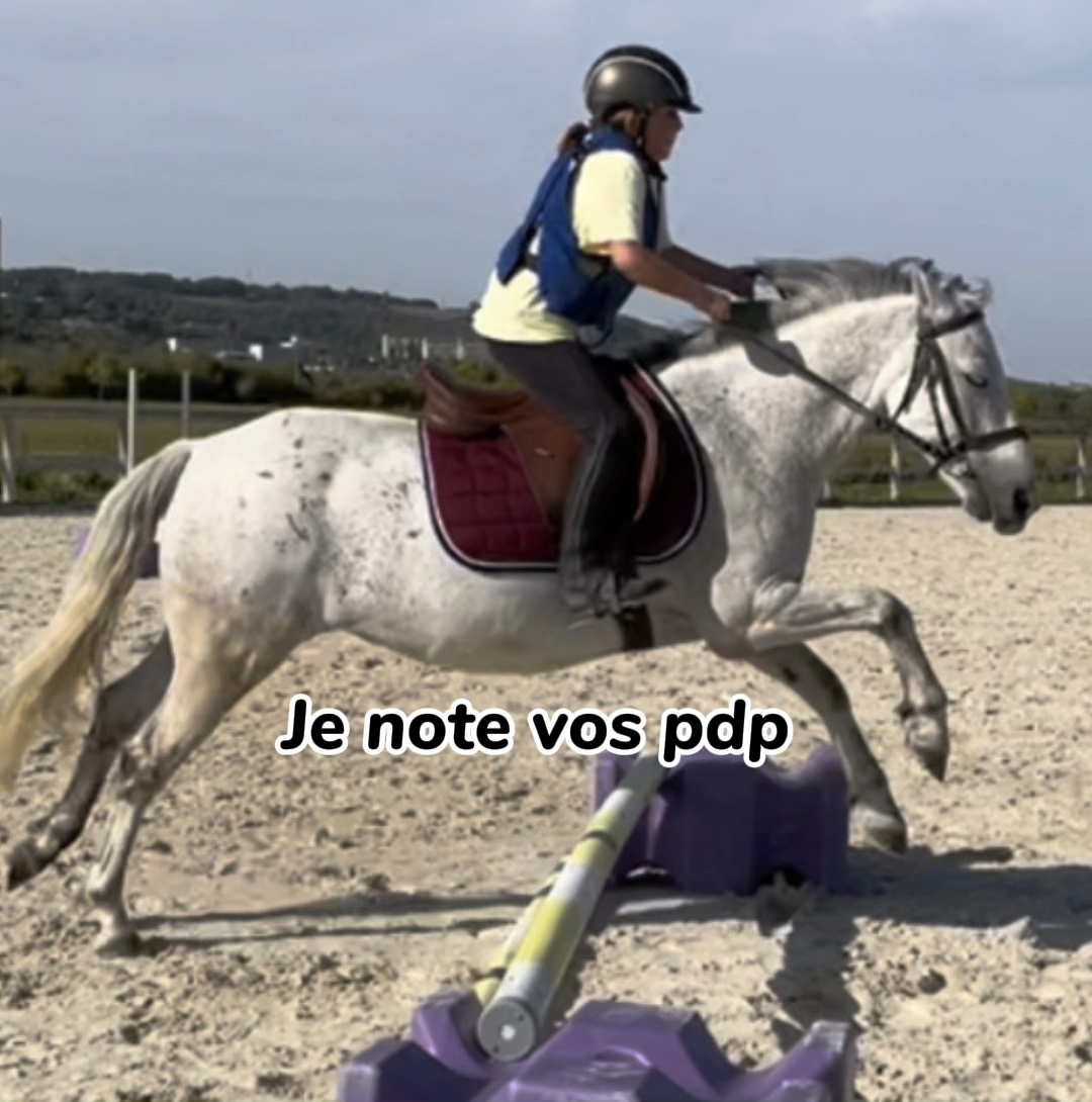Voilà, parti 2 ?