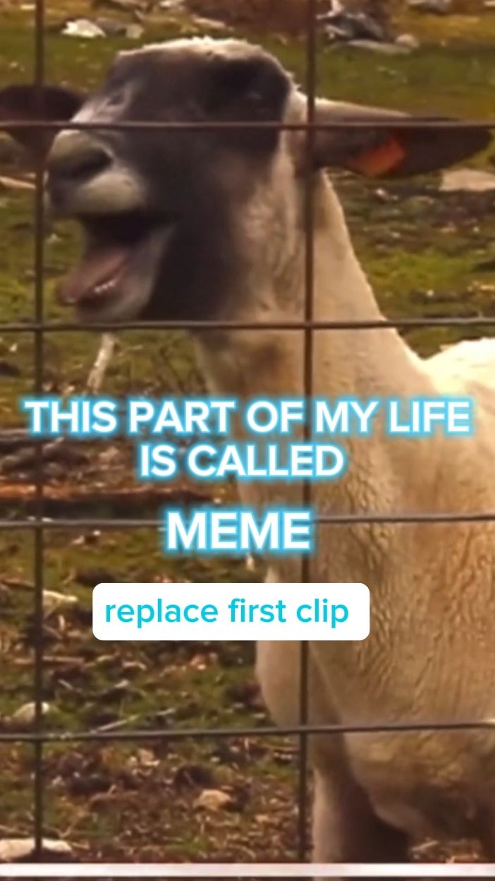 Part Of My Life Meme