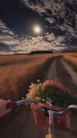 Câmera lenta 2 minut