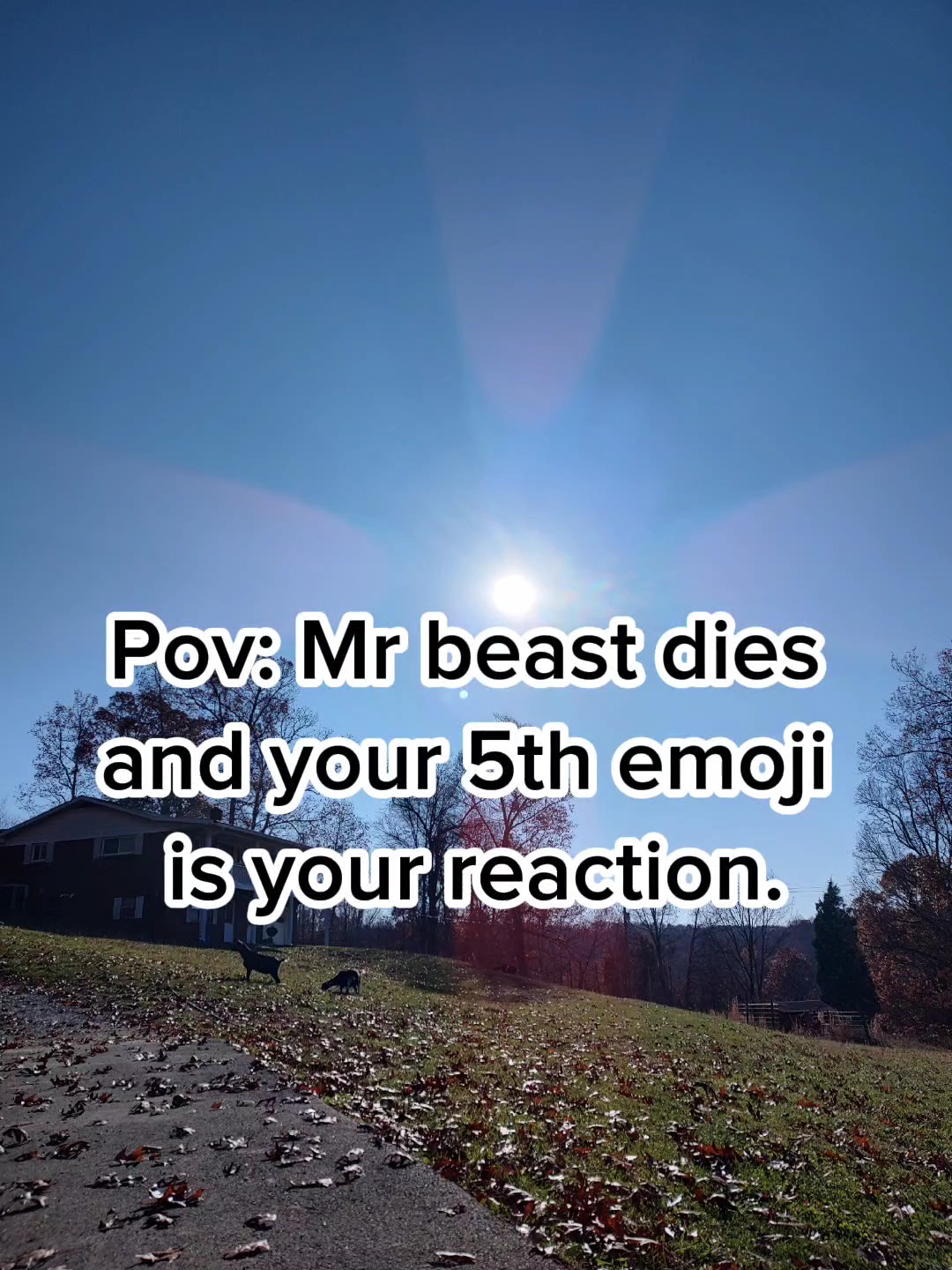 Your 5th emoji!!! 
