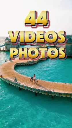 44 videos or photos