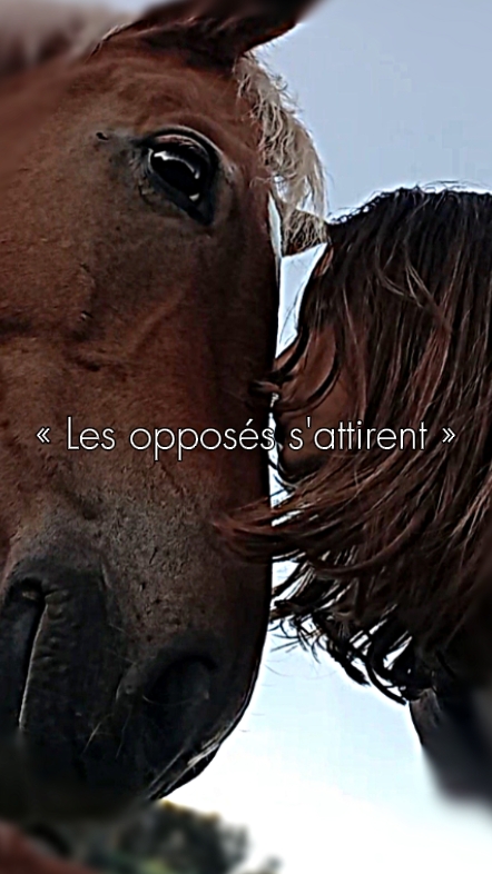 « Les opposés