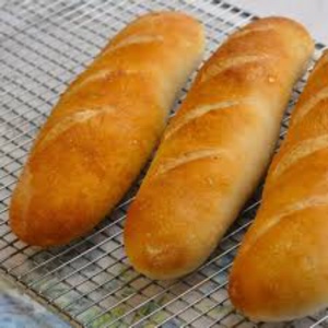 bred