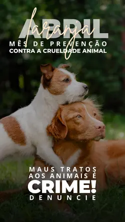Abril Laranja 🐾