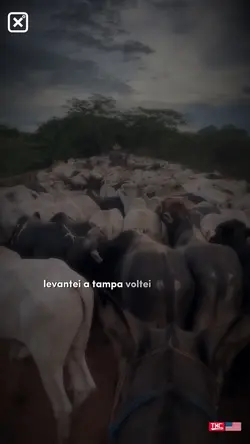 Poeira da Estrada 
