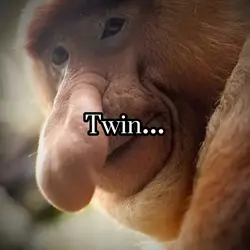 Big Nose Twin