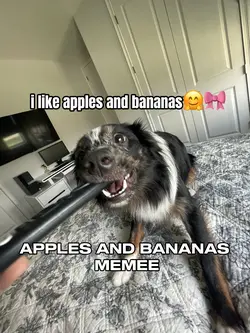 apples and bannanas🤭