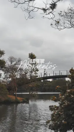 Vlog | Momentos ✨