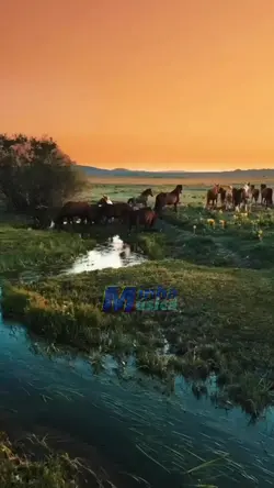 Tocando em Frente...