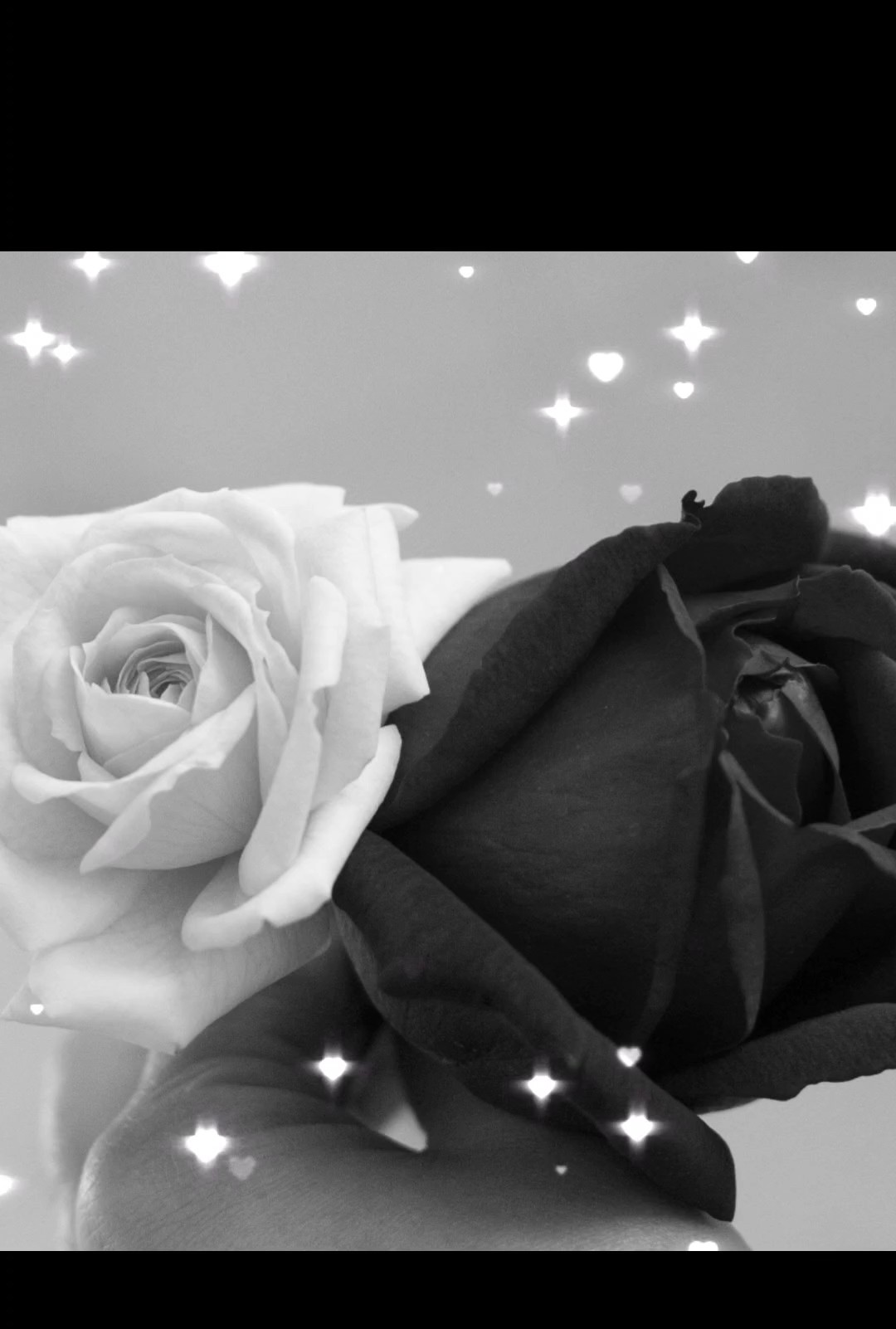 Blanco y negro