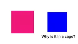 Why is it in a cage?