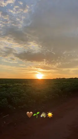 Farm 🐴🌾💚☀️