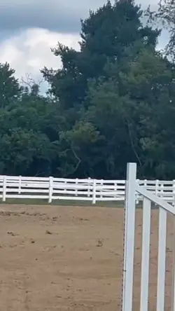 I miss jumping him🥺 
