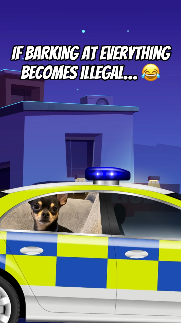 Police Car