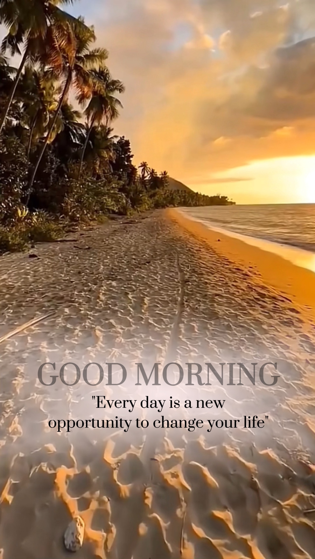 Bom Dia 🙏