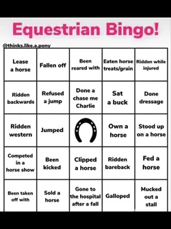 Equestrian bingo! 