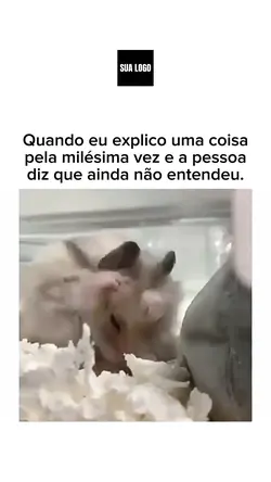 A gente tenta!