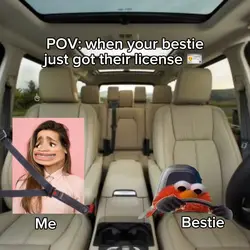 Elmo Driving Meme