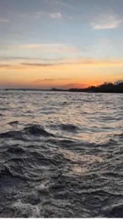 Amazônia 