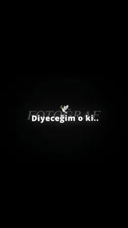 Tiktok / lyricsmemo