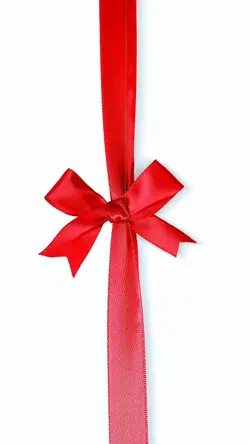 Merry Christmas 🎄🎁 