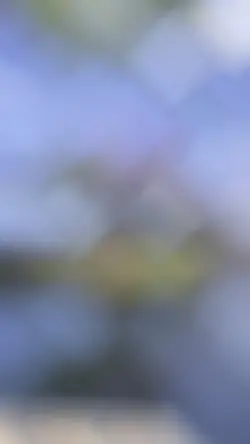 Epcot unblur 