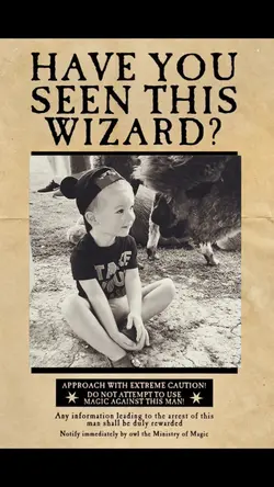 Wanted wizard