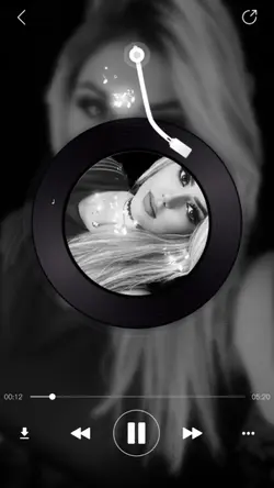 vinil preto e branco