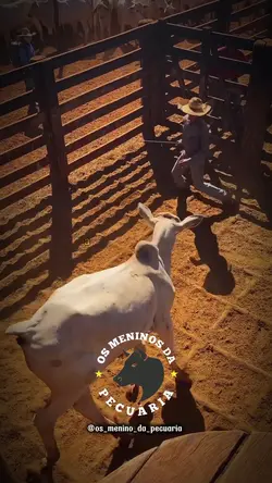 a morena me pediu...