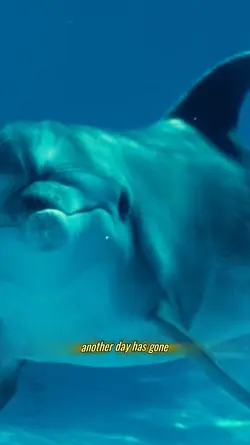 Oceanos